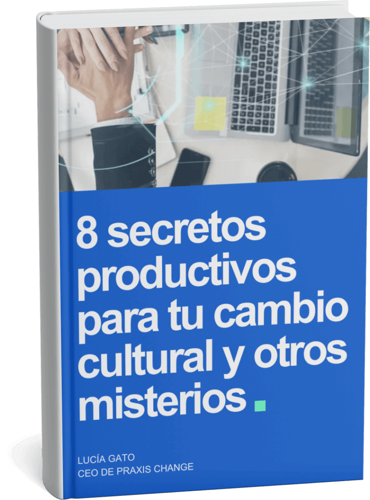 ebook-praxis